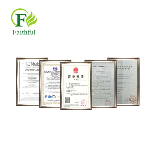 6-Diazo-5-oxo-L-norleucine Powder CAS 157-03-9 6-Diazo-5-oxo-L-norleucine Powder CAS 157-03-9