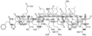 52232-67-4 Teriparatide acetate 52232-67-4 Teriparatide acetate